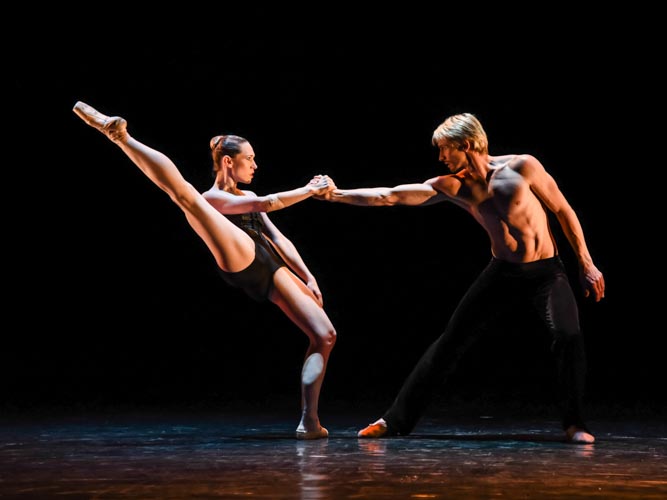 professionele danser