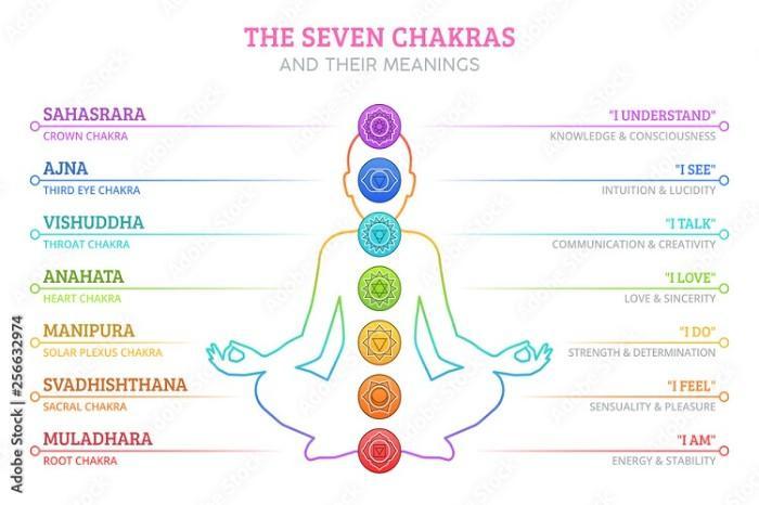 <strong>Leer de 7 chakra's kennen: Een beginnersgids</strong> 2 Chakra's