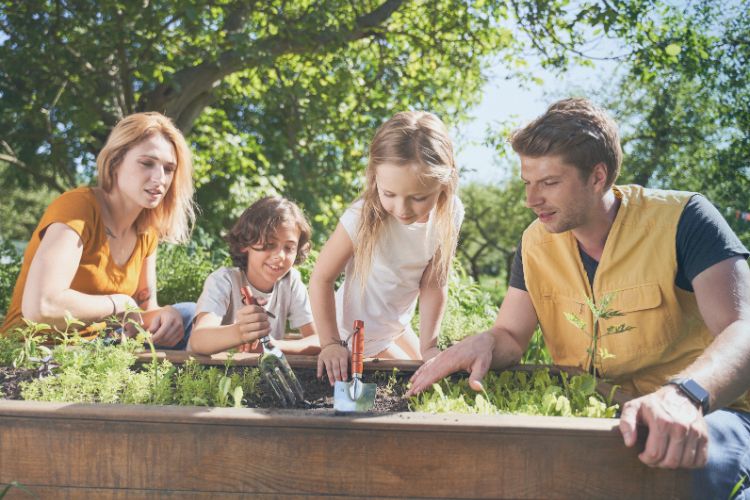 Veerkracht: De sleutel tot succes voor je kind Veerkracht: De sleutel tot succes voor je kind